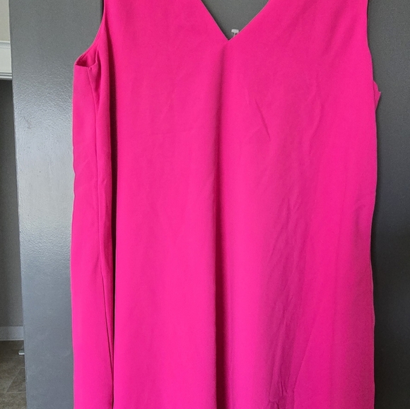 Vibrant Pink Sleeveless Dress with Embroidered Detail - Picture 3 of 4